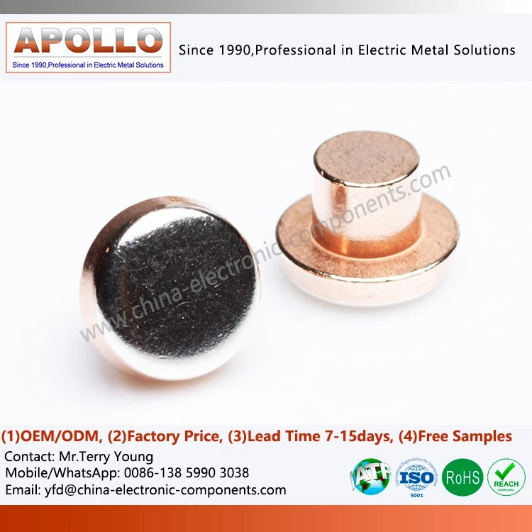 Bimetal Rivet Contact factory